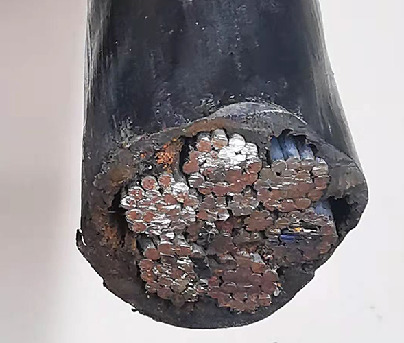 [☆]Plastic-coated steel wire rope